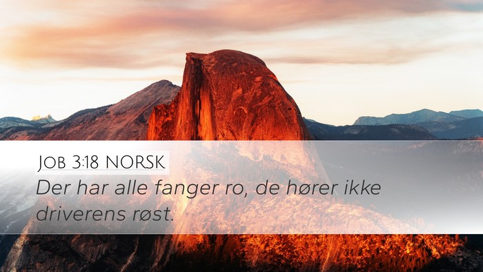 Job 3:18 NORSK Bible Verse Image