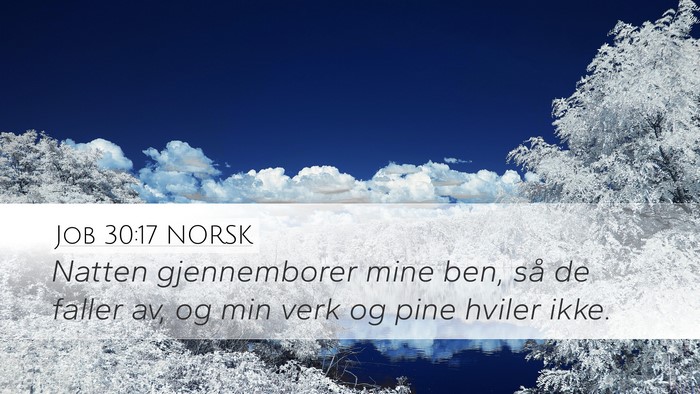 Job 30:17 NORSK Bible Verse Image