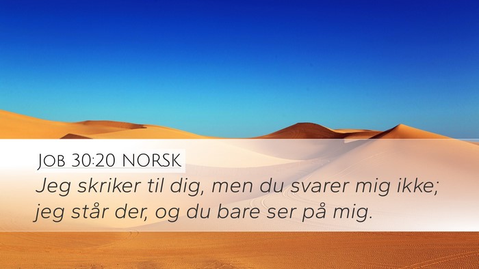 Job 30:20 NORSK Bible Verse Image