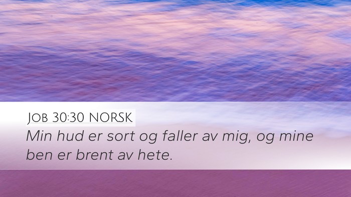 Job 30:30 NORSK Bible Verse Image