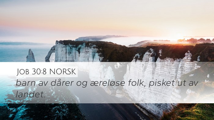 Job 30:8 NORSK Bible Verse Image