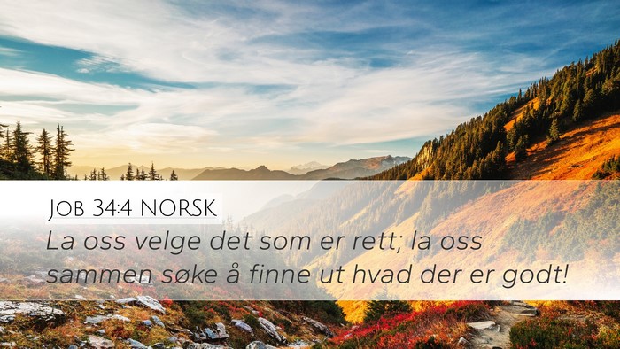 Job 34:4 NORSK Desktop Wallpaper - La oss velge det som er rett; la oss sammen søke - Desktop Bible Verse Wallpaper