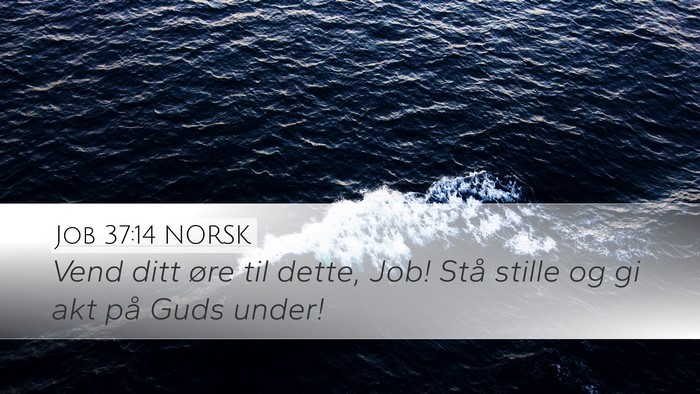 Job 37:14 NORSK Bible Verse Image