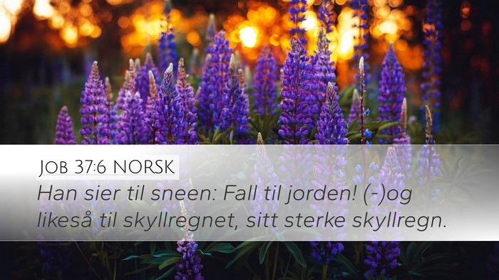 Job 37:6 NORSK Bible Verse Image