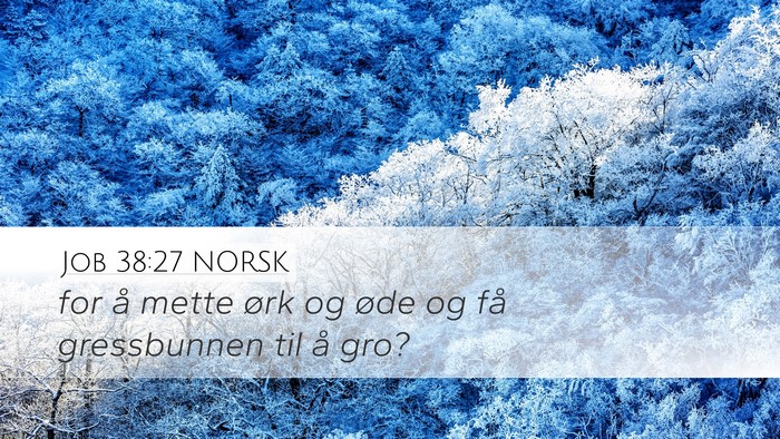 Job 38:27 NORSK Bible Verse Image