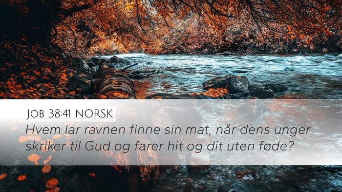 Job 38:41 NORSK Bible Verse Image