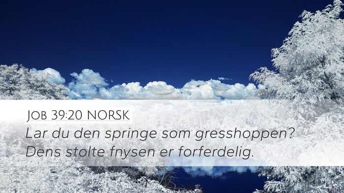 Job 39:20 NORSK Desktop Wallpaper - Lar du den springe som gresshoppen? Dens stolte - Desktop Bible Verse Wallpaper