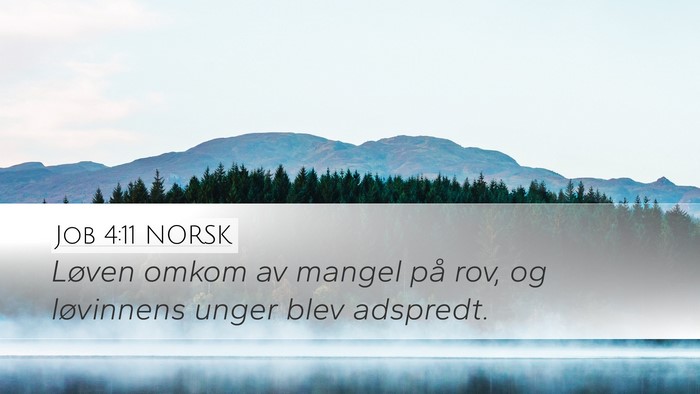 Job 4:11 NORSK Desktop Wallpaper - Løven omkom av mangel på rov, og løvinnens - Desktop Bible Verse Wallpaper
