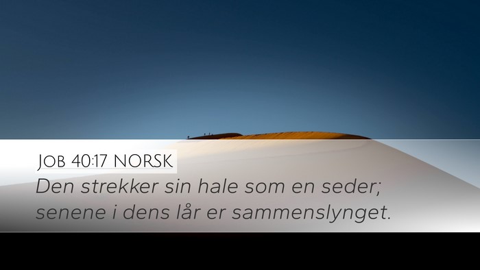 Job 40:17 NORSK Bible Verse Image