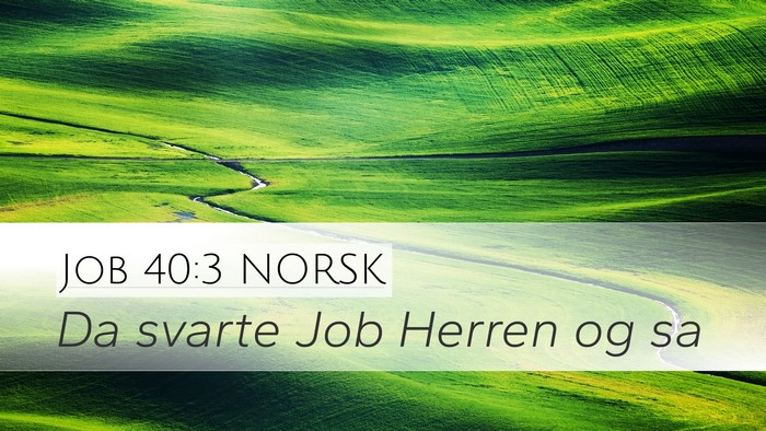 Job 40:3 NORSK Desktop Wallpaper - Da svarte Job Herren og - Desktop Bible Verse Wallpaper
