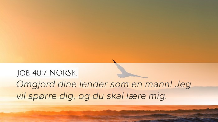 Job 40:7 NORSK Bible Verse Image