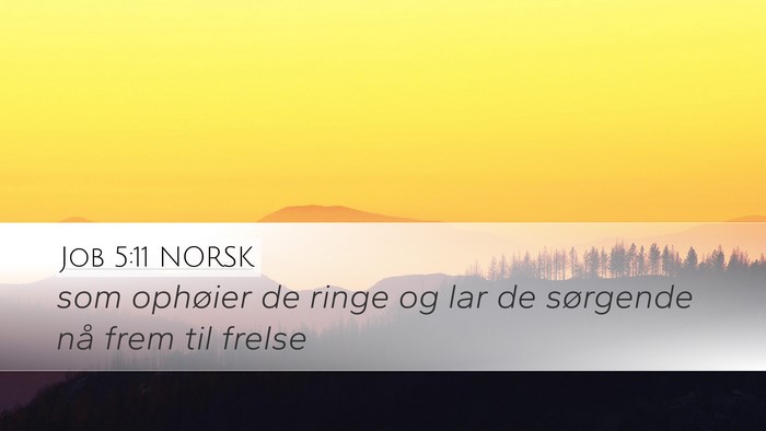 Job 5:11 NORSK Bible Verse Image