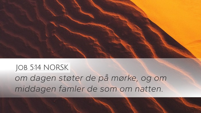 Job 5:14 NORSK Bible Verse Image