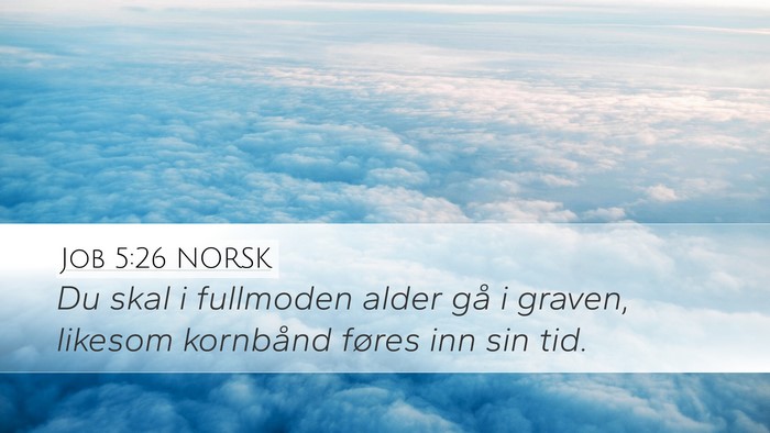 Job 5:26 NORSK Bible Verse Image