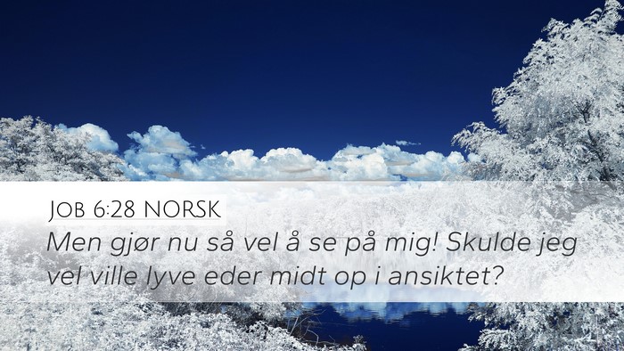 Job 6:28 NORSK Bible Verse Image