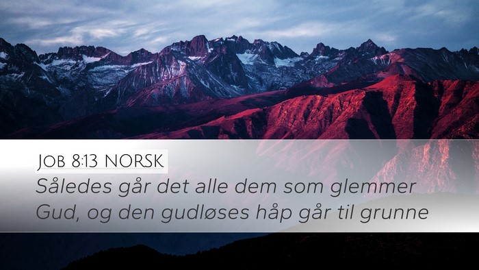 Job 8:13 NORSK Bible Verse Image