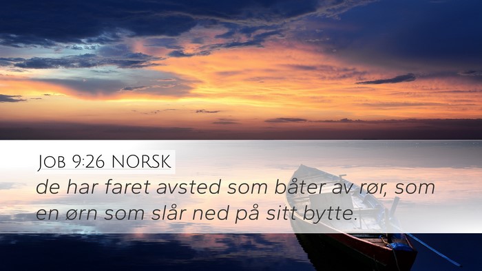 Job 9:26 NORSK Bible Verse Image