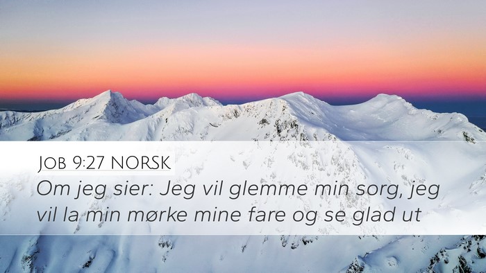 Job 9:27 NORSK Bible Verse Image