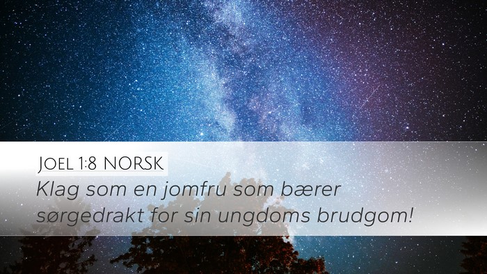 Joel 1:8 NORSK Bible Verse Image