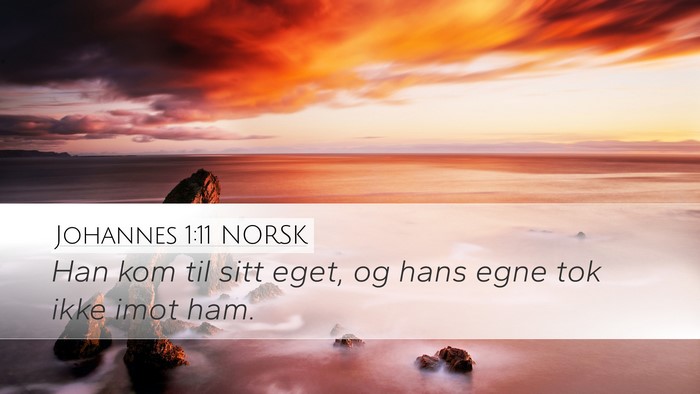 Johannes 1:11 NORSK Bible Verse Image