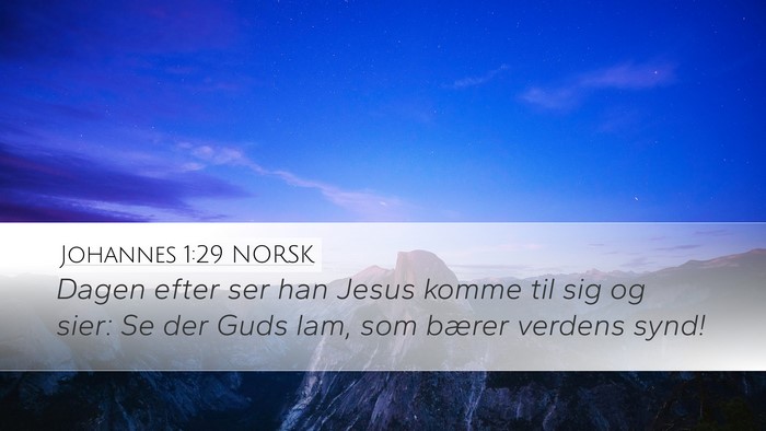 Johannes 1:29 NORSK Bible Verse Image