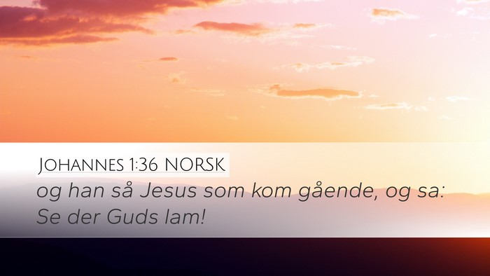 Johannes 1:36 NORSK Bible Verse Image