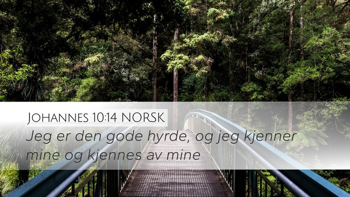 Johannes 10:14 NORSK Bible Verse Image
