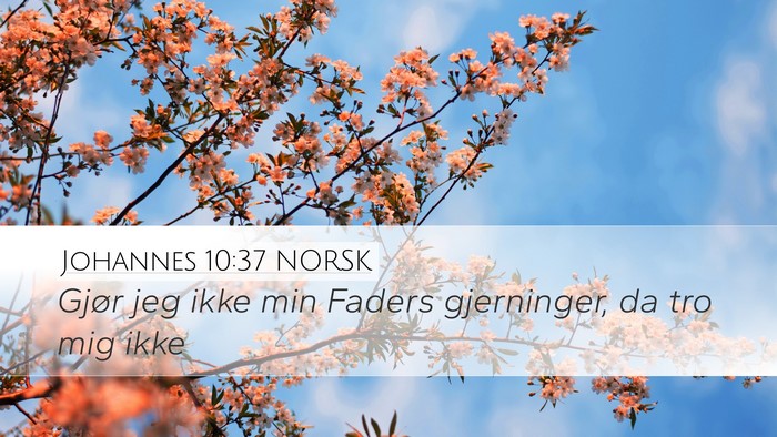 Johannes 10:37 NORSK Bible Verse Image