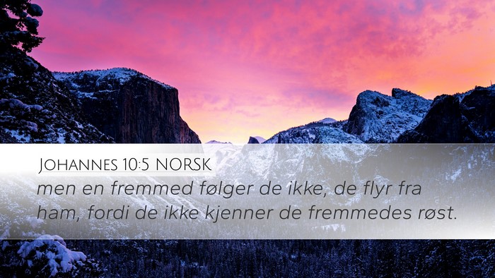 Johannes 10:5 NORSK Bible Verse Image