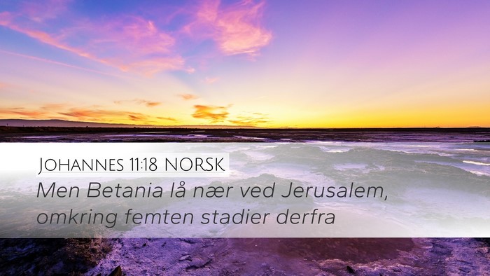 Johannes 11:18 NORSK Bible Verse Image