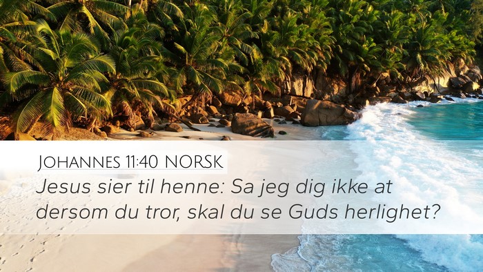Johannes 11:40 NORSK Bible Verse Image