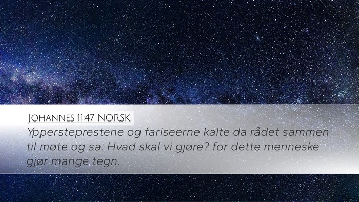 Johannes 11:47 NORSK Bible Verse Image