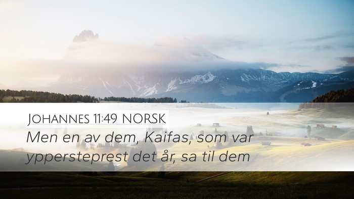Johannes 11:49 NORSK Bible Verse Image