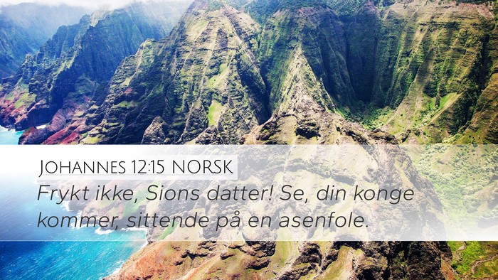 Johannes 12:15 NORSK Bible Verse Image