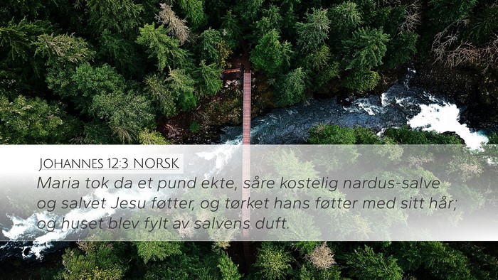 Johannes 12:3 NORSK Bible Verse Image