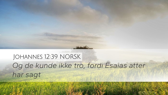 Johannes 12:39 NORSK Bible Verse Image