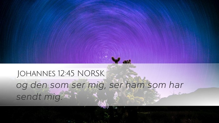 Johannes 12:45 NORSK Bible Verse Image