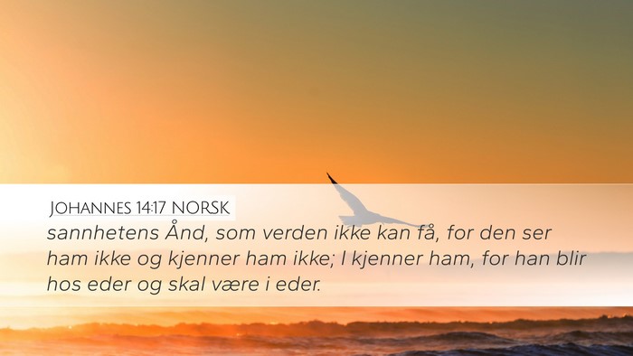 Johannes 14:17 NORSK Bible Verse Image