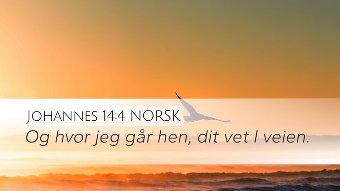 Johannes 14:4 NORSK Bible Verse Image
