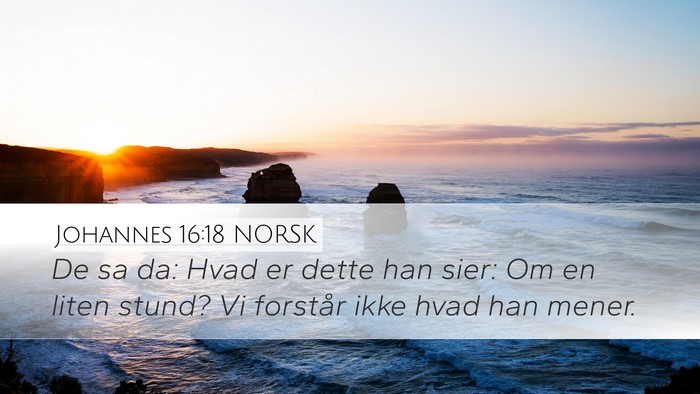 Johannes 16:18 NORSK Desktop Wallpaper - De sa da: Hvad er dette han sier: Om en liten - Desktop Bible Verse Wallpaper