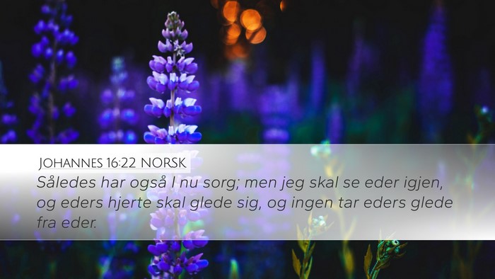 Johannes 16:22 NORSK Bible Verse Image