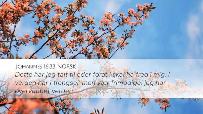 Johannes 16:33 NORSK Bible Verse Image