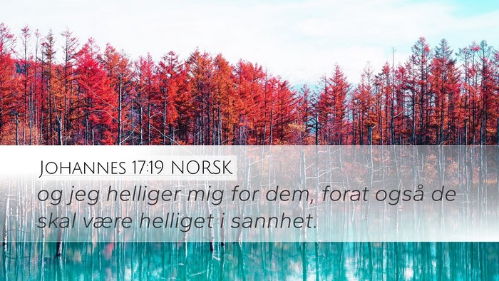 Johannes 17:19 NORSK Bible Verse Image