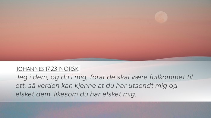 Johannes 17:23 NORSK Bible Verse Image