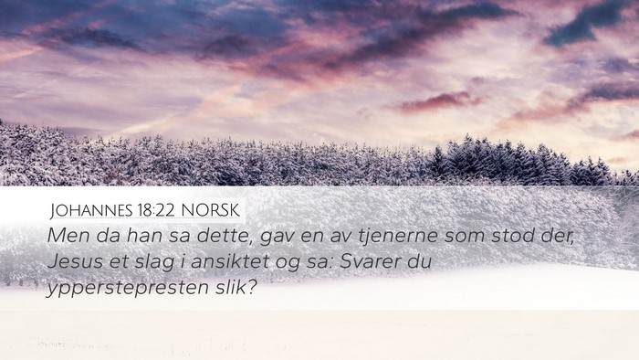 Johannes 18:22 NORSK Bible Verse Image
