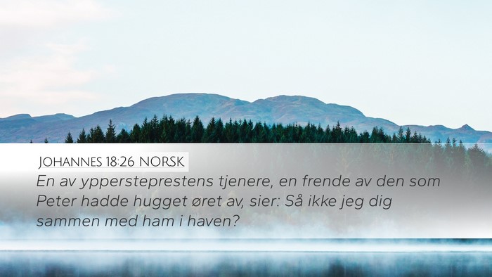 Johannes 18:26 NORSK Bible Verse Image