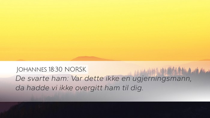 Johannes 18:30 NORSK Bible Verse Image