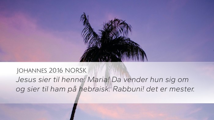 Johannes 20:16 NORSK Bible Verse Image
