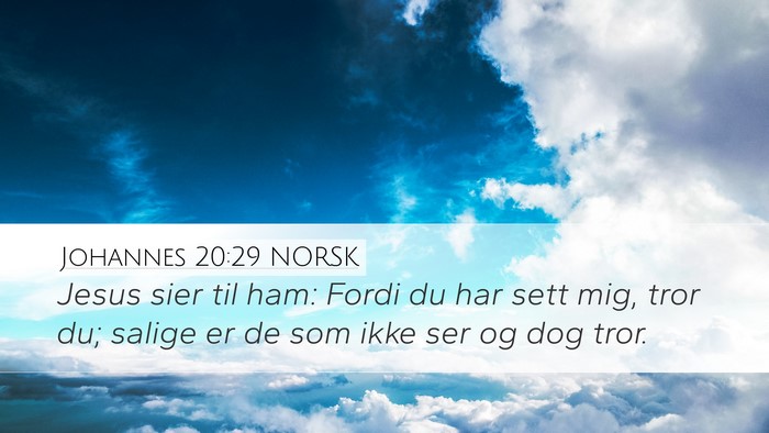 Johannes 20:29 NORSK Bible Verse Image
