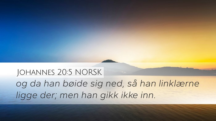 Johannes 20:5 NORSK Desktop Wallpaper - og da han bøide sig ned, så han linklærne - Desktop Bible Verse Wallpaper
